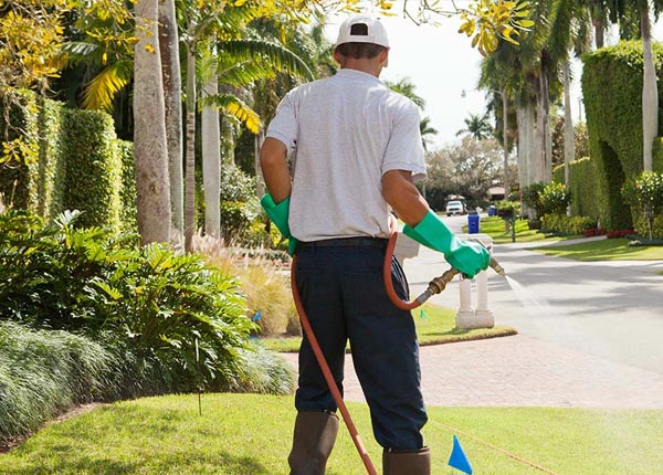 About Atlantic Beach NY Pest Control
